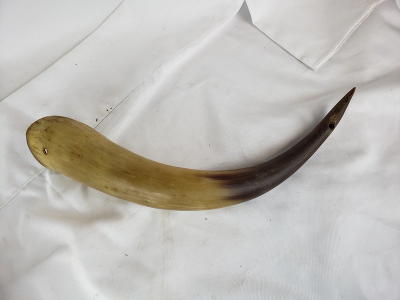 Antique Native Carved Powder Horn 11"