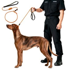 BeauGo Dog Leash Slip Lead Dog Training Leash,Trainer Rope Designed for DogTrain
