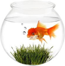 Small Aquarium Fish Bowl Round Terrarium Bowl Home Office Table Decor