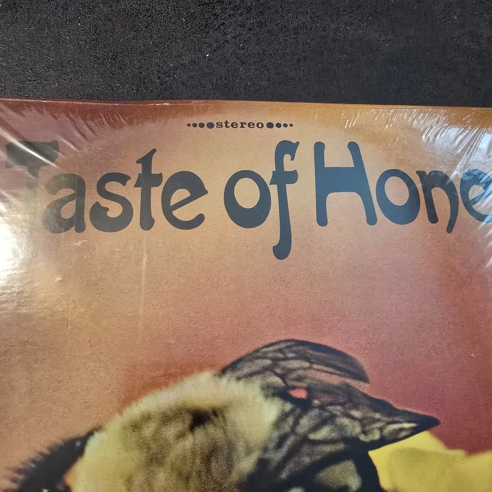 Bob Dorough – A Taste of Honey LP Music Minus One Jazz 12" Vinyl NOS Sealed 1972 Foto 3 de 4