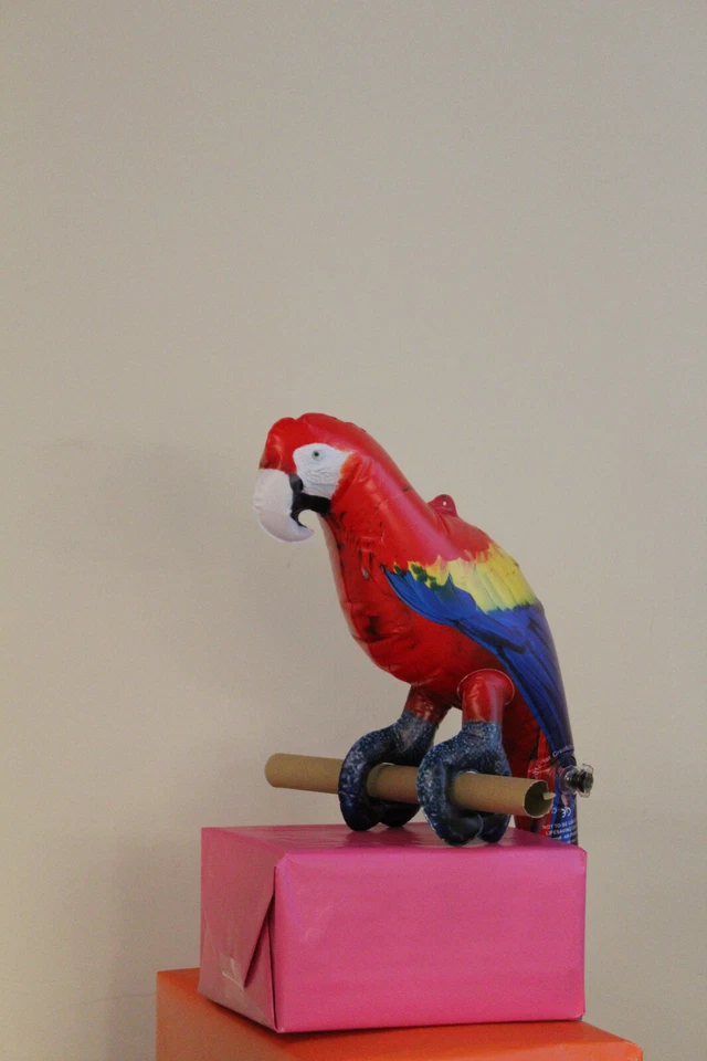 Jet Creastions 2 piezas loro inflable 24 pulgadas de largo pájaro mascota animal fiesta Foto 4 de 4