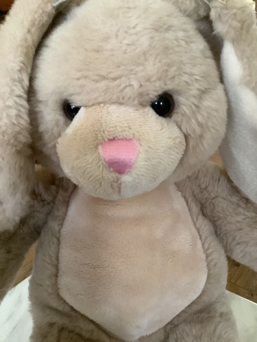 Build a Bear Vanilla Fudge Bunny Rabbit "Immaculate Condition" includes ear bows - Picture 6 of 24