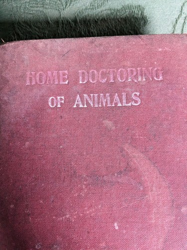 Home Doctoring of Animals Harold Leeney First Edition 1906 Horse, Cattle, Dog - Picture 2 of 24