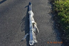 Dynastar Outland 7 Downhill Skis Brand new in plastic 192 CM Lenth