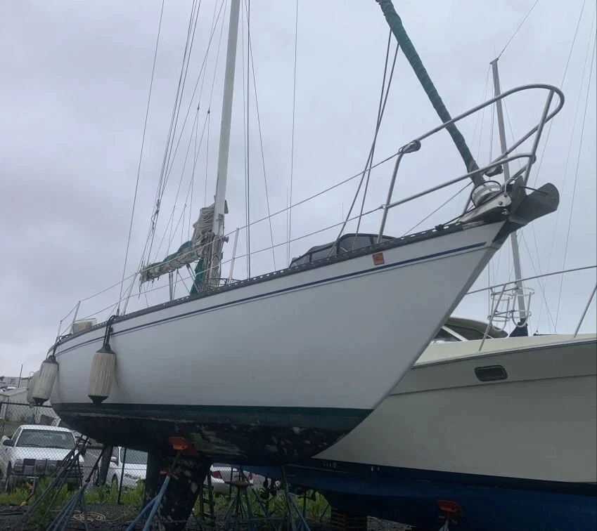 LANCER 36 SAILBOAT - YANMAR ANACORTES WASHINGTON COMPLETE 2025 SURVEY AVAILABLE - Image 3 of 4