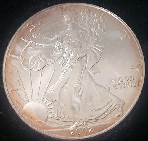 2002 Walking Liberty Silver Dollar with Case 1oz 0.999 Fine Some Toning