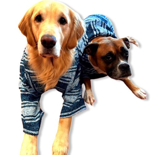 8 Original Mexikanische Streifen Pullover - Hund Baja Hoodie Jacke Grau Kunst - Bild 1 von 9