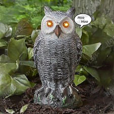 Motion Activated Light Sound Hooting OWL Garden Statue Outdoor Pest Deterent