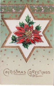 CHRISTMAS GREETINGS - POINSETTIA IN THE DAVID STAR - OLD POSTCARD GEL GERMANY