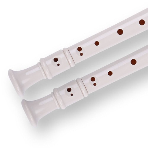 For Beginner Plastic Soprano Recorder Clarinet Long Flute Musical Instruments - Picture 10 of 19