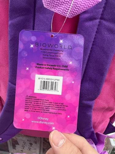 DISNEY PRINCESS PINK 16" GIRLS Backpack - Detachable Insulated Lunch Bag - 第 7/7 張圖片