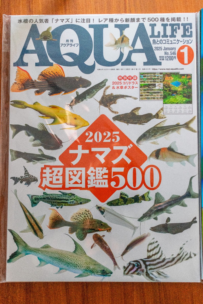 AQUALIFE6月号 月刊アクアライフ 2025年06月号 インテリアとアクアリウム [雑誌