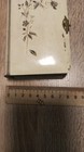 Picture 5 of 19