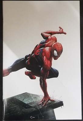 AMAZING SPIDER-MAN #1 | VARIANT COVER Marvel Comics 2018 |