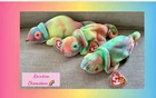 Vintage New Ty Beanie Baby Rainbow -  Chameleon (3) (FREE SHIPPING )