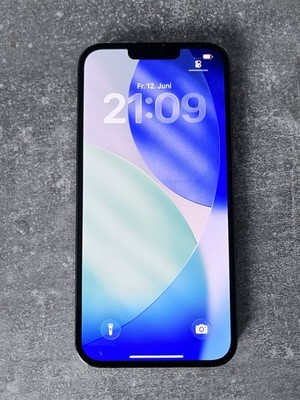 Apple iPhone 13 Pro Max - 128GB - Graphite - GUT - 100%   - Zubehörpaket