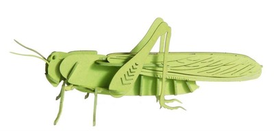 3D Paper Model Grasshopper Toy NEU