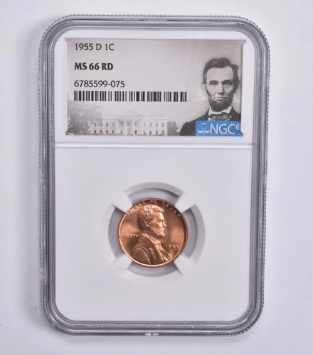 MS66 RD 1955-D Lincoln Wheat Cent NGC Special Lbl *1145