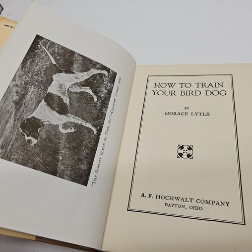 How to Train Your Bird Dog Horace Lytle Vintage Hardcover Book w/ Dust Jacket - Picture 6 of 9