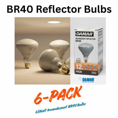 Damar BR 40 65W Indoor Flood Light Bulbs White Pack of 6 Alt To Phillips Brand