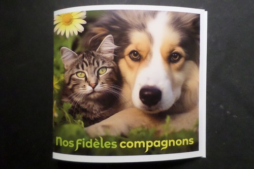 Francia 2024 Coleccionista 4 Sellos Chien / Gato Cachorros / Gatitos Adhesivos - Imagen 2 de 3