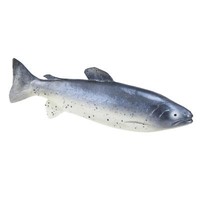 KüNstlicher Deko-Fisch 31Cm - TäUschend Echte Forelle Lebensmittelattrappe FüR