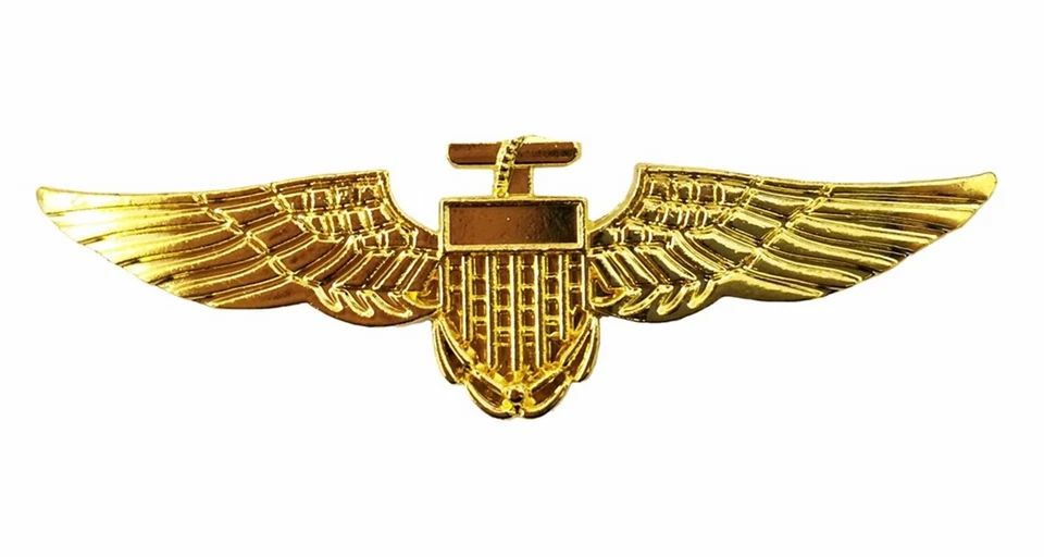 Gold Pilot Wings Badge Aviator Sunglasses Top Gun Stag Do Fancy Dress