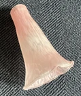 Vintage Lily Pad Tulip Lamp Replacement Shade Pink 5” Long