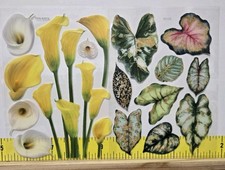 Crafters Floral Stickers Journals, Scrapbooking Cards Lilies,house Plant Leaves.