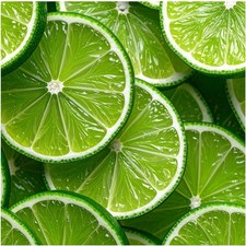 Tile Mural Green Lime Slices Fresh Fruit Kitchen Bathroom Shower Wall Backsplash