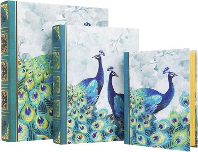 Punch Studio Book Box, Multicolored