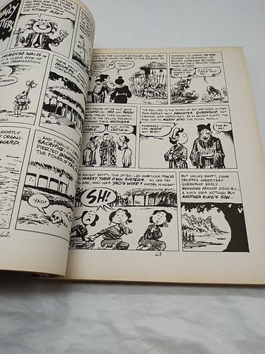 Die Cartoon Geschichte des Universums II Bände 8-13 Buch - Bild 19 von 23