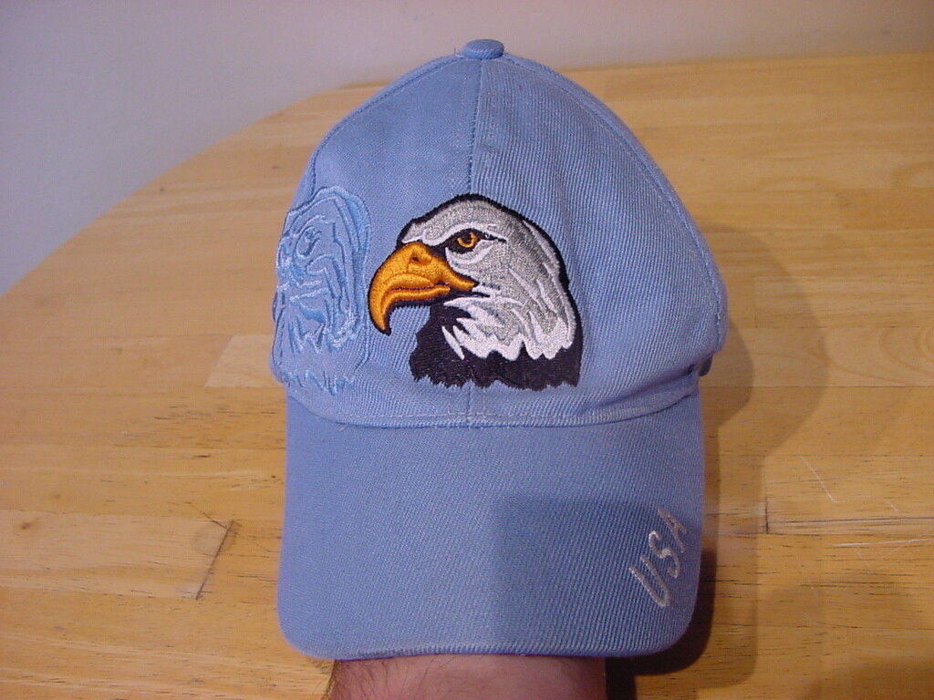 AMERICAN EAGLE USA ADJUSTABLE HAT - image 1