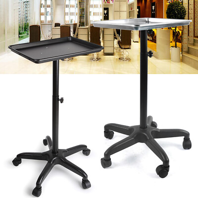Beauty Salon Spa Styling Station Trolley Equipment Rolling Storage Tray Cart NEW