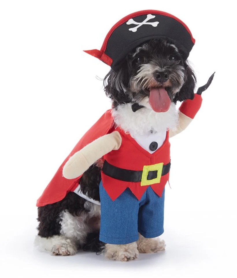 Disfraz de Perro Pirata - Divertido Traje de Halloween y Navidad para Mascota para Pequeño, Mediano, L Foto 4 de 4