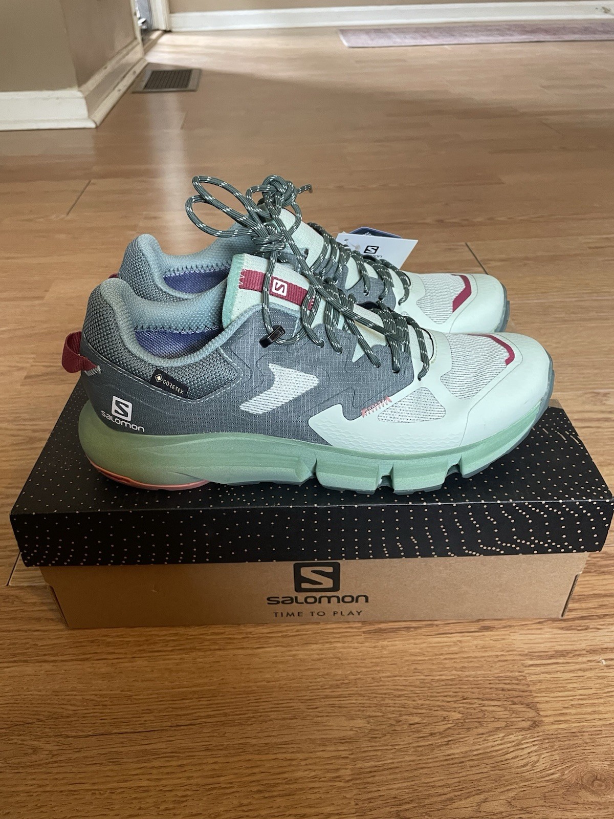 Salomon Predict Hike GTX W