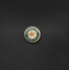 WW1 American Red Star Animal Relief  for Military Animals Pinback Button
