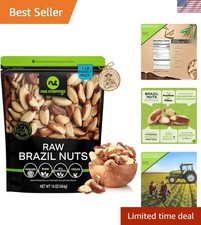 Raw Brazil Nuts, Unsalted, No Shell, Whole, 16oz - 1 LB Packed Fresh in Resealab