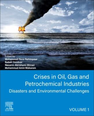 Crises in Oil, Gas and Petrochemical Industries : Disasters and Environmental...