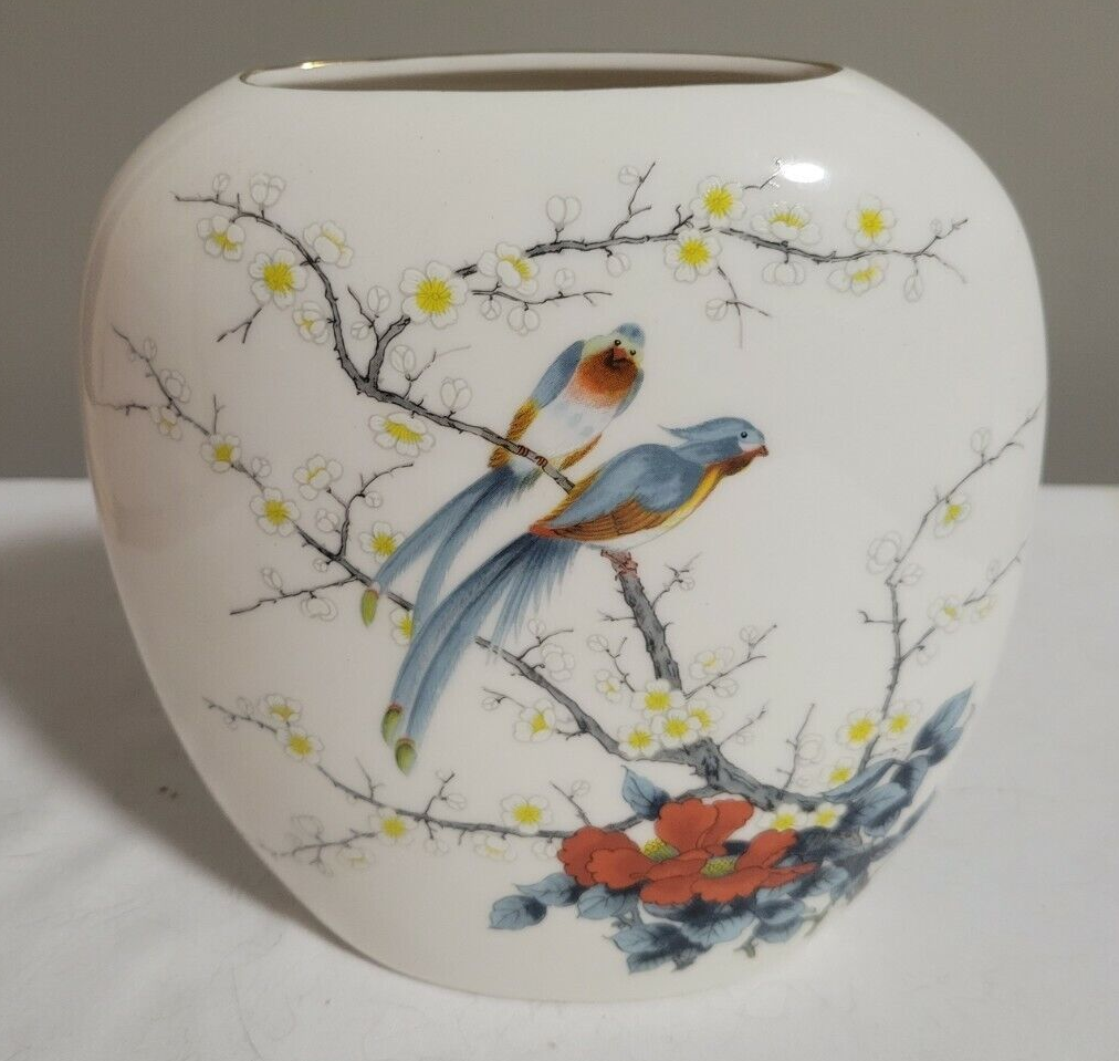 Blue Bird 7