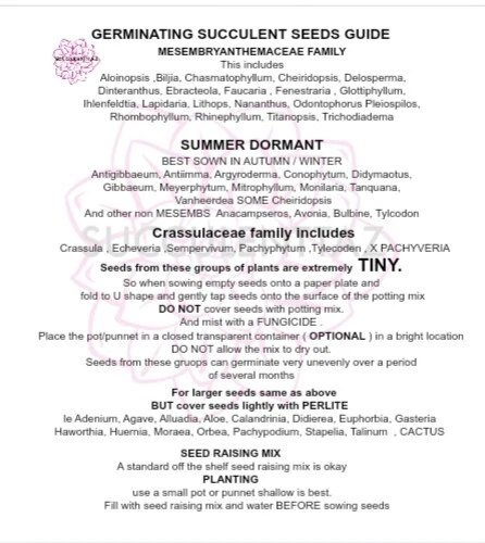 Gymnocalycium mihanovichii variegata cristatus 6 x Seeds Cactus CREST succulent  - Image 4 of 4