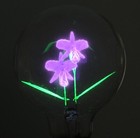 Vintage Aerolux Style Neon Flower Orchids Light Bulb With Box