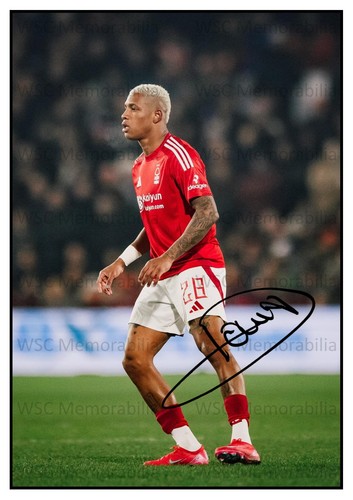 11354. Danilo Signed Pictures (A4 Prints) Nottingham Forest Palmeiras Botafogo