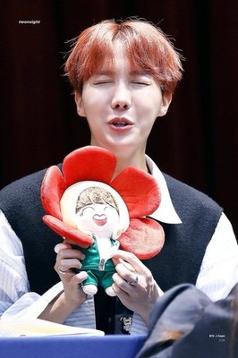 BTS J-hope Flower Plush Doll Original Korea Rare Limited Sope Suga