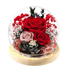 FIACO Gifts for Women Mom Birthday Preserved Flowers in Glass Dome B-red 
