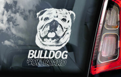 Bulldogge Auto Aufkleber - Hund an Bord Englisch Britisch Autoaufkleber Fenster V02