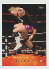 2015 Topps WWE Crowd Chants You Still Got It #9 Billy Gunn