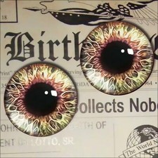 1" Glass Eyes Realistic Human Doll Craft Eyeballs 25mm