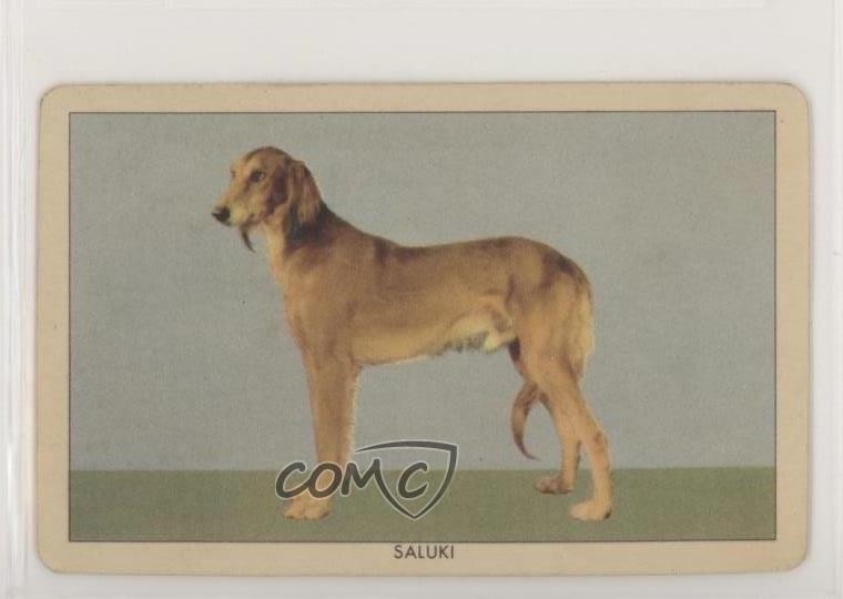 Issue Saluki 0s4
