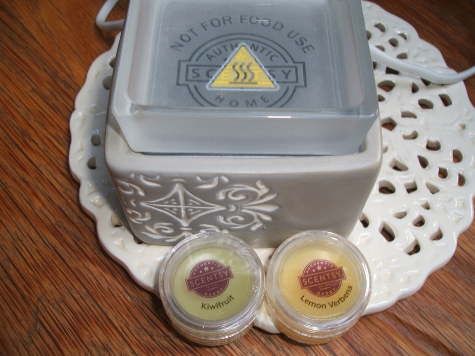 Scentsy wax warmer plus two melts used eBay